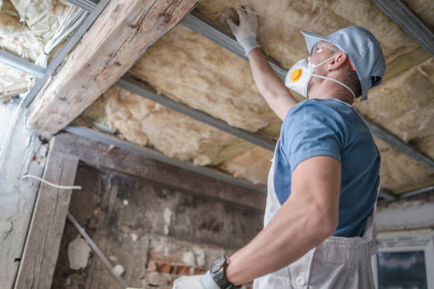 Best Insulation Contractor Near Me  in Randolph, WI