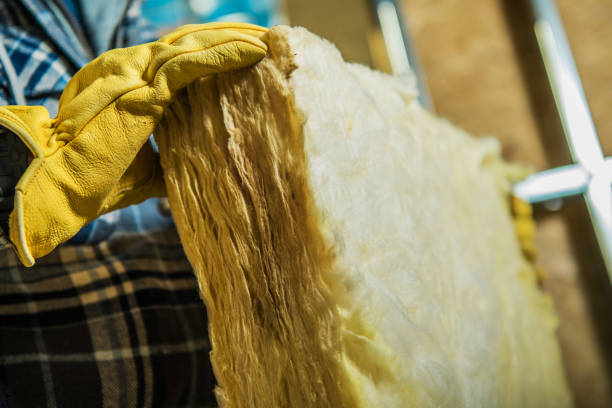 Best Wall Insulation Contractor  in Randolph, WI