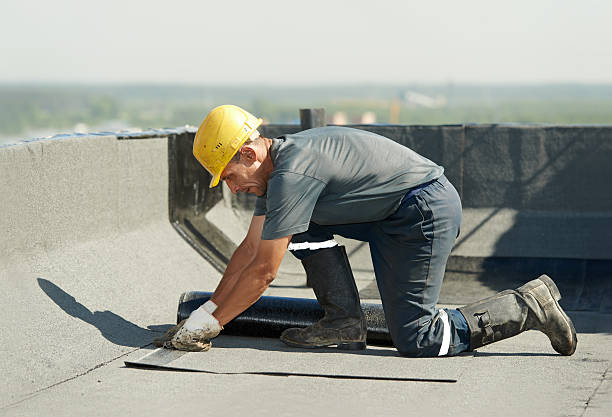 Best Insulation Removal  in Randolph, WI