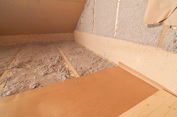 Best Insulation Inspection Services  in Randolph, WI